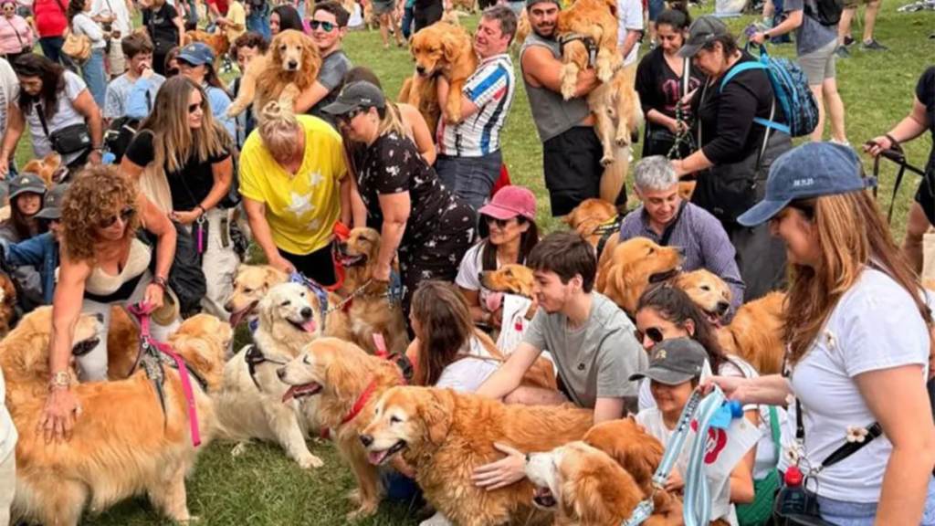 Miles de golden retriever coparon Palermo en una juntada histórica que batió un récord&nbsp;mundial