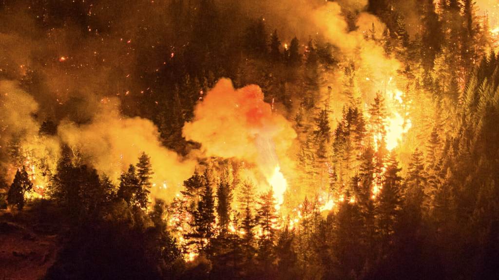 Emergencia ambiental en la Patagonia por incendios fuera de&nbsp;control