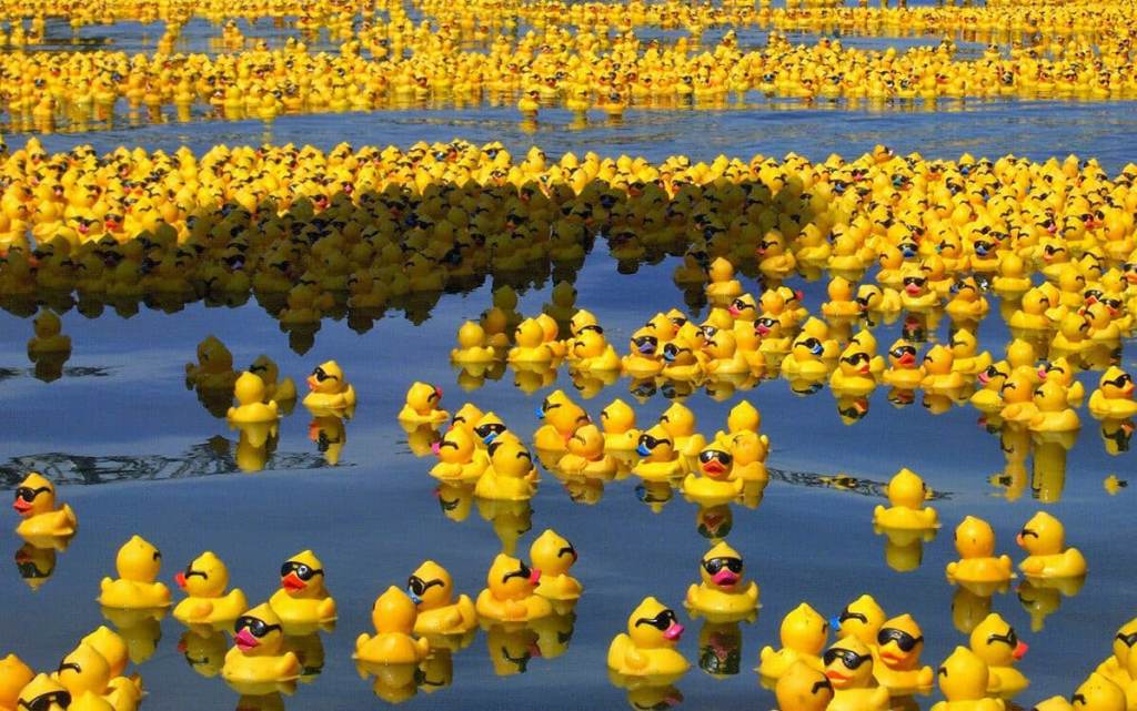 Ciencia, azar y océanos: cómo un naufragio de patitos de goma cambió el estudio de las corrientes&nbsp;marinas